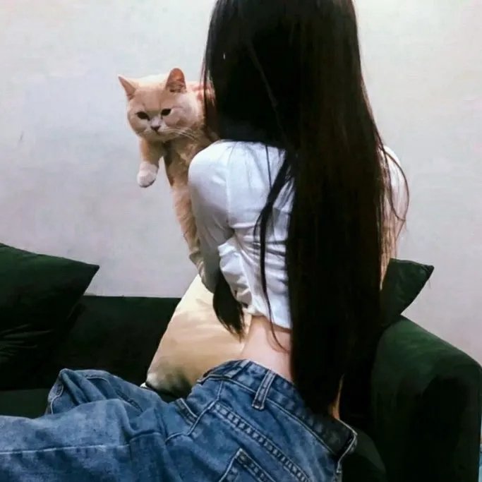 孝感动天粤语